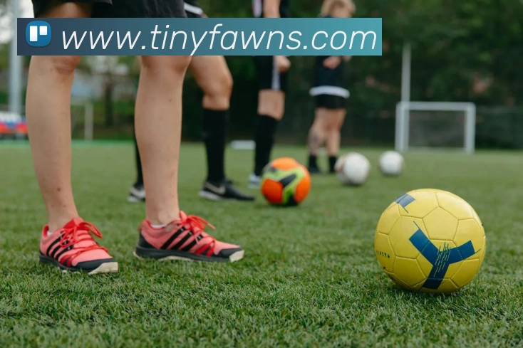 App Interface Preview