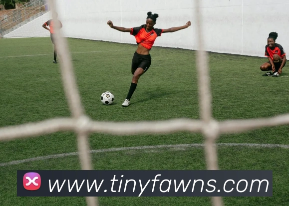 澳门威尼斯官网APP 封面图